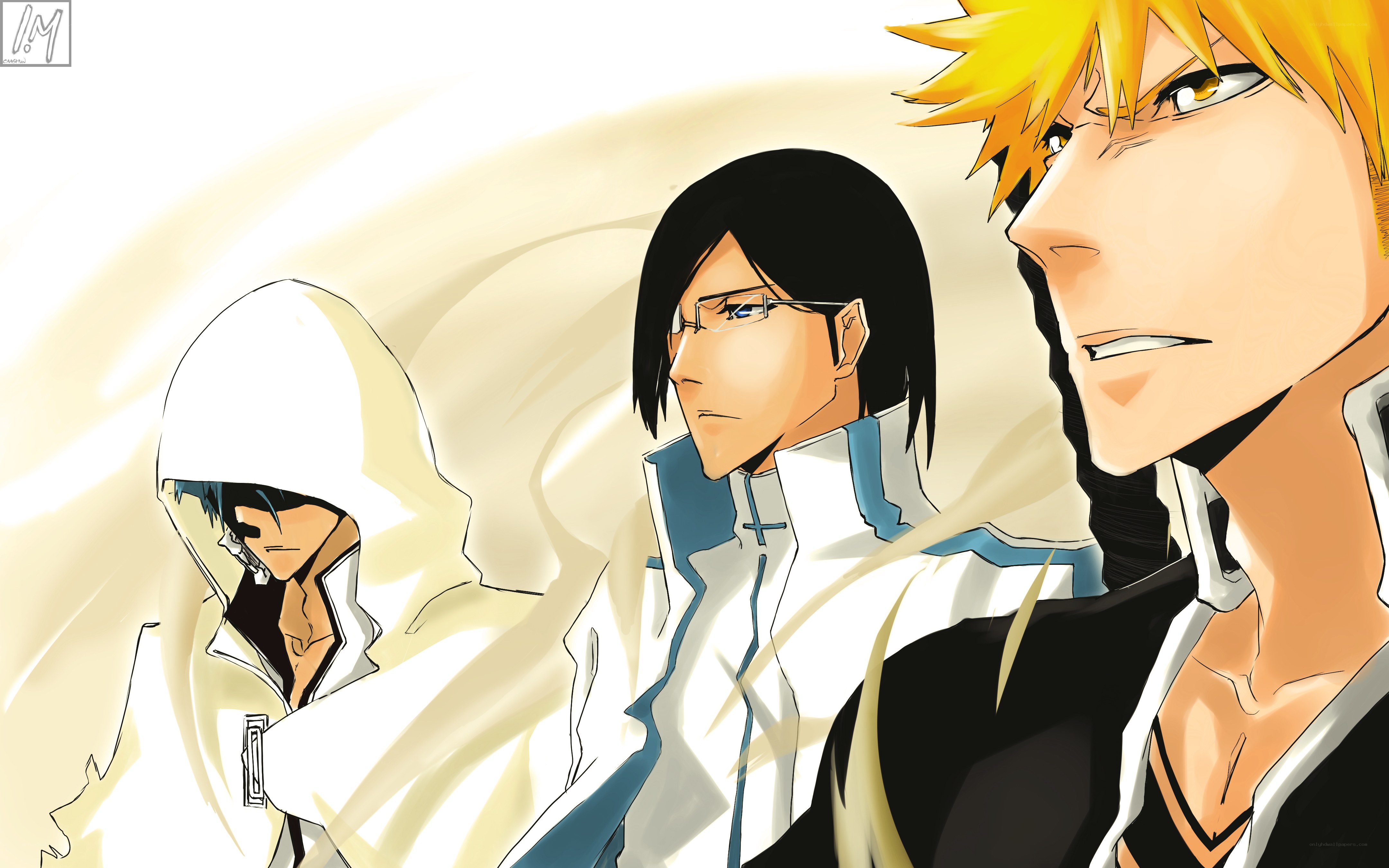 Bleach characters in white robes