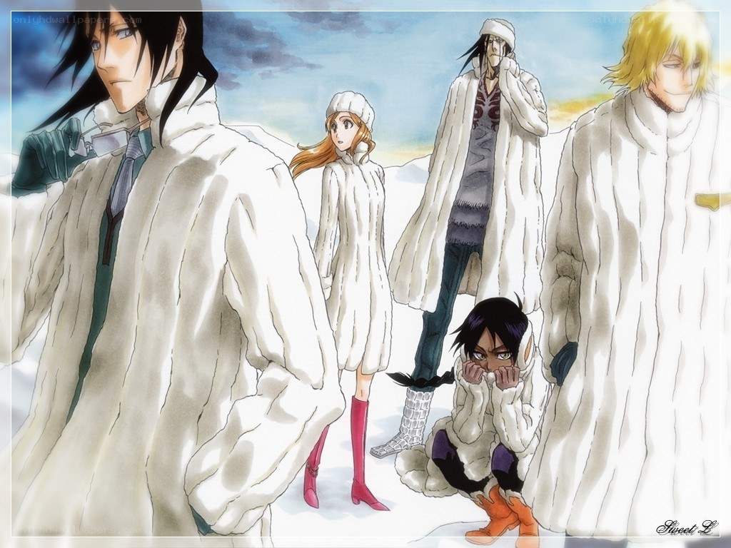 Bleach characters in winter coats