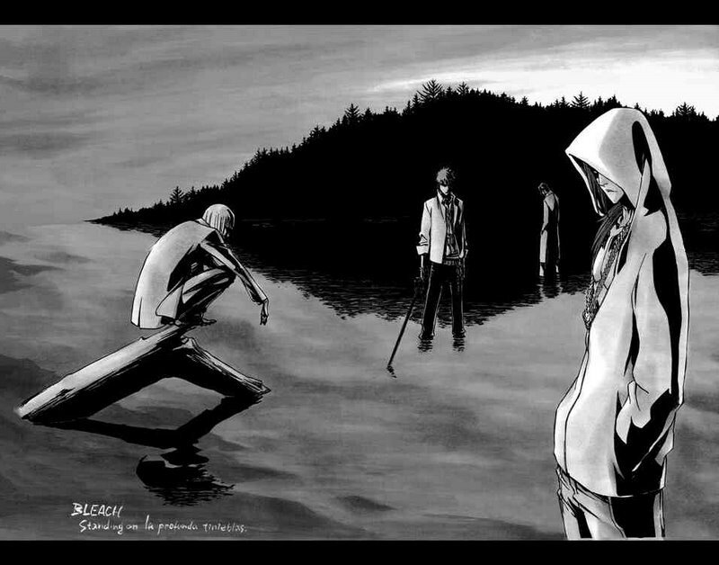 Bleach characters on a shore