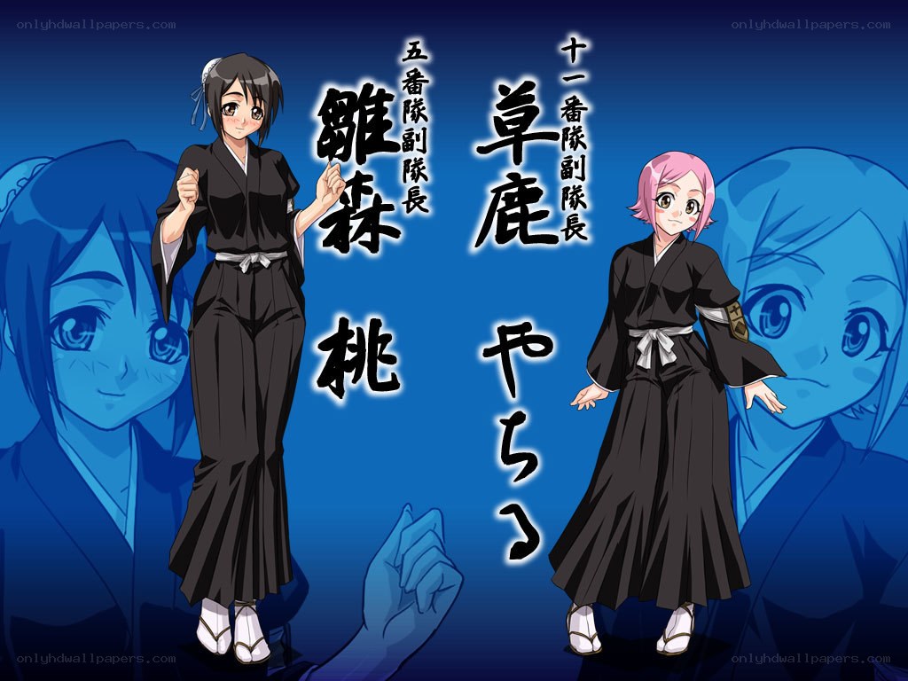 Bleach characters Yoruichi and Rangiku