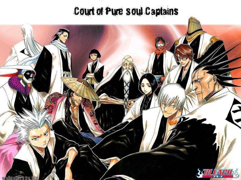 Bleach Court of Pure Soul Captains