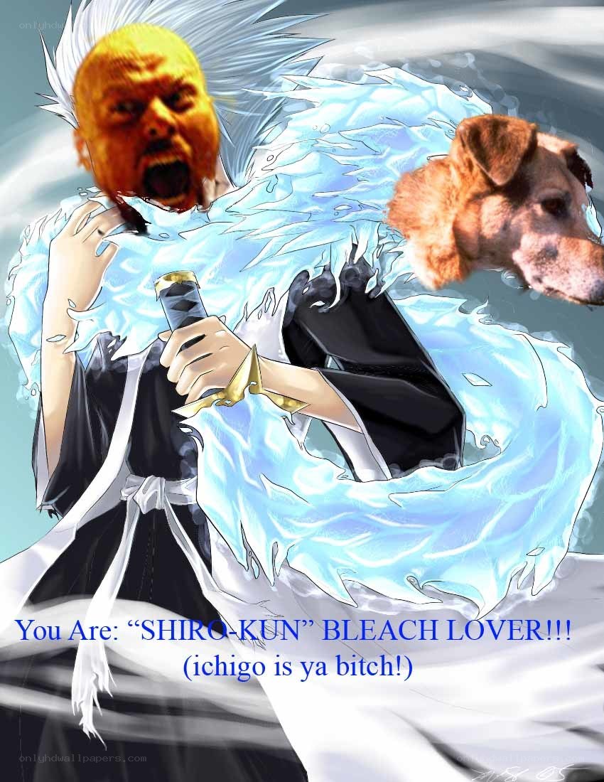 Bleach fan art with meme faces