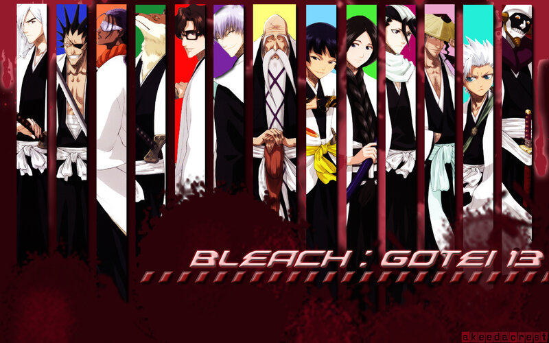 Bleach: Gotai 13 characters