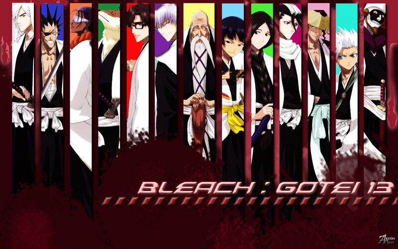 Bleach: Gotei 13 characters