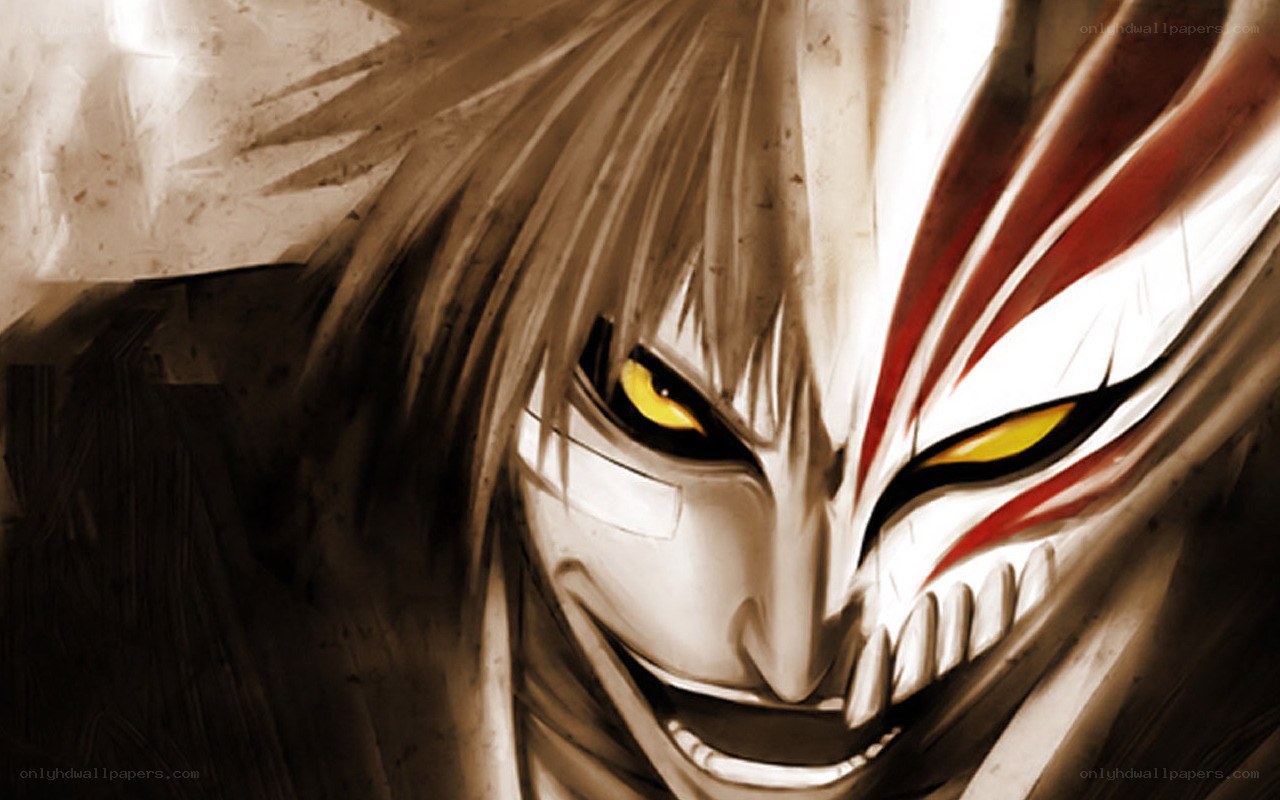 Bleach Hollow mask