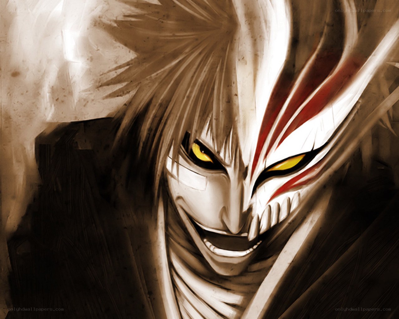 Bleach Hollow mask