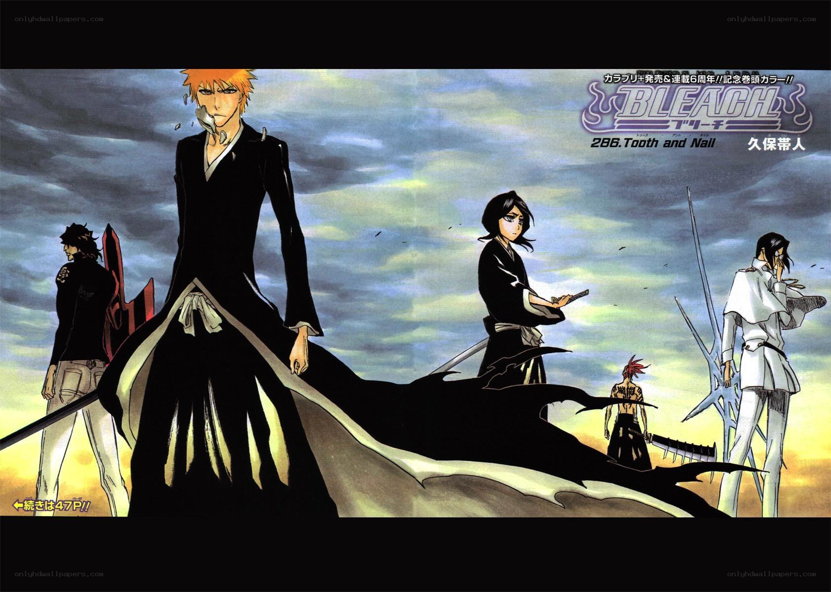 Bleach manga chapter cover