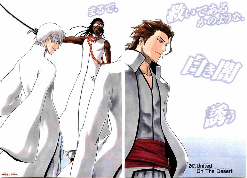 Bleach manga chapter spread