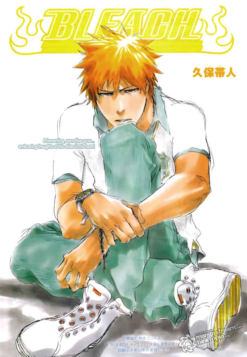 Bleach manga cover art
