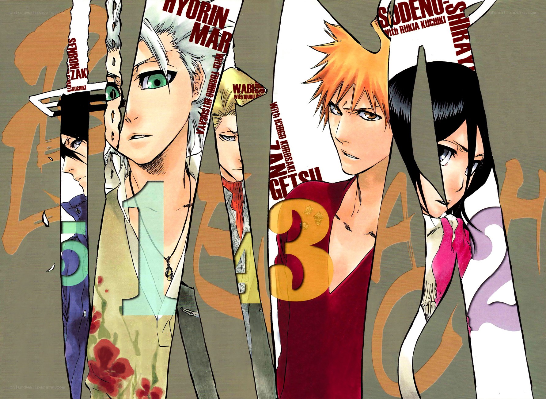 Bleach manga volume covers
