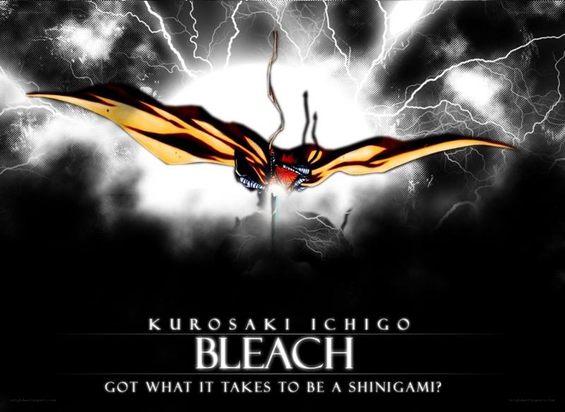 Bleach Shinigami Poster
