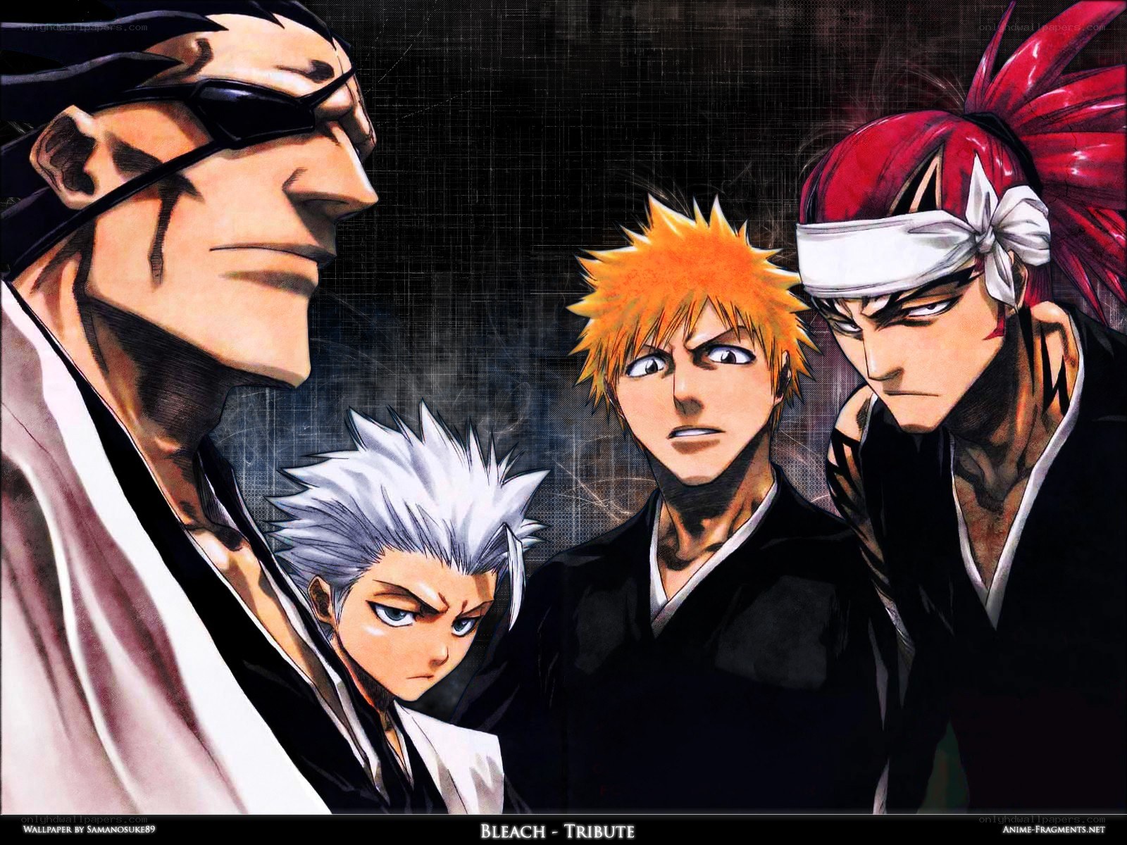 Bleach tribute artwork