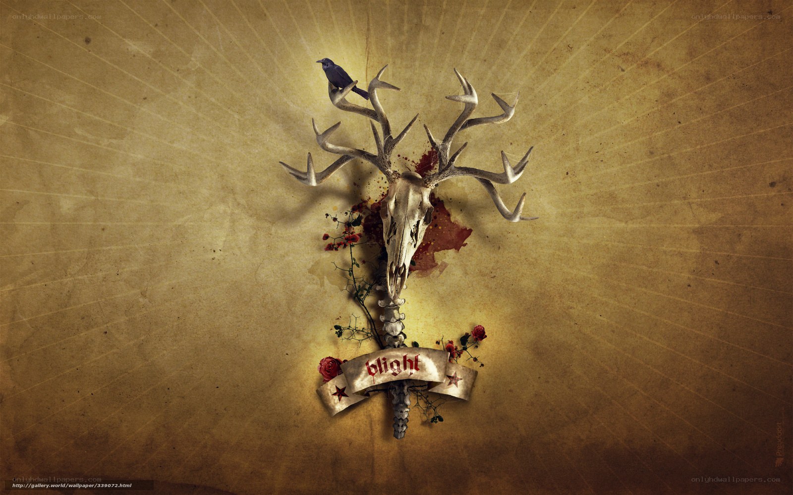 Blight: Deer Skull and Bird