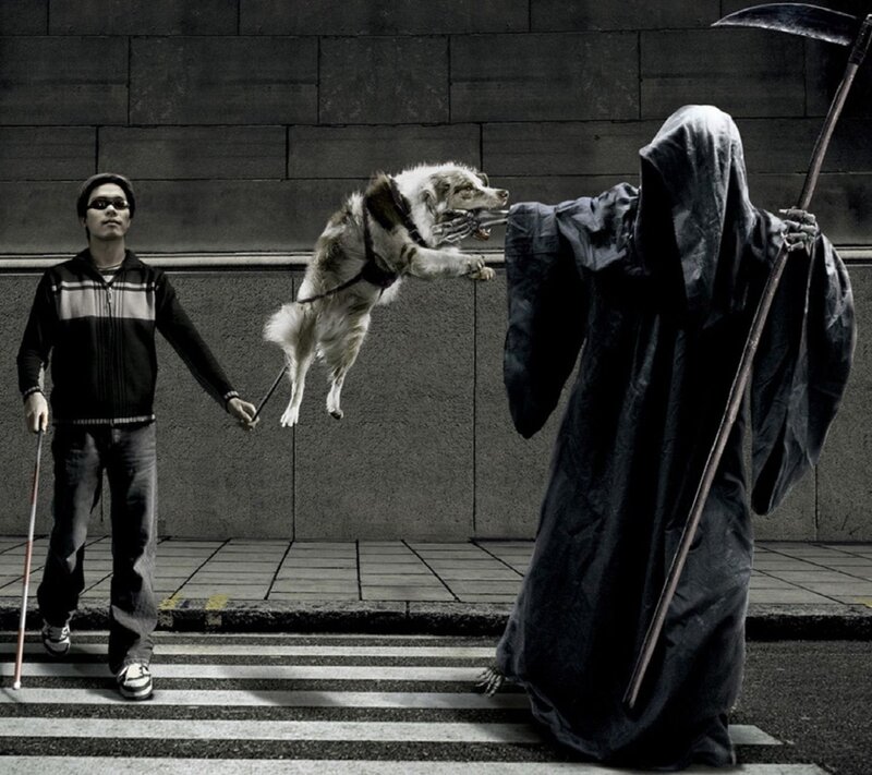 Blind Man with Guide Dog