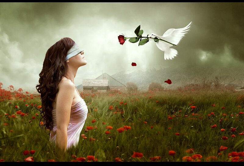 Blindfolded Woman in Field