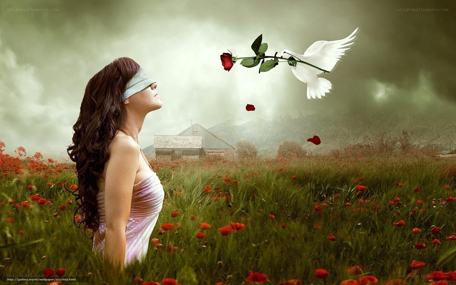 blindfolded woman with dove