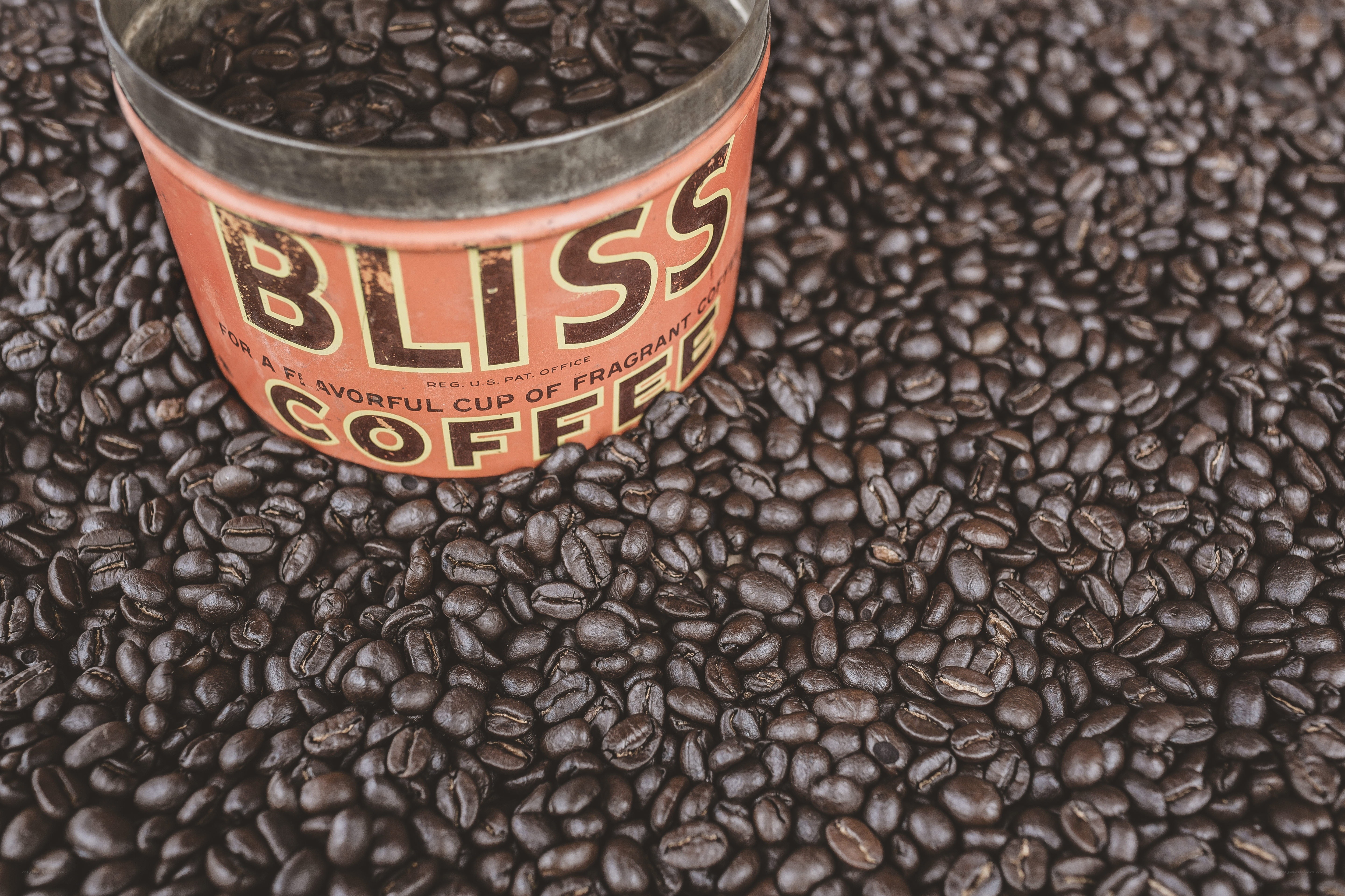 Bliss Coffee beans in a tin