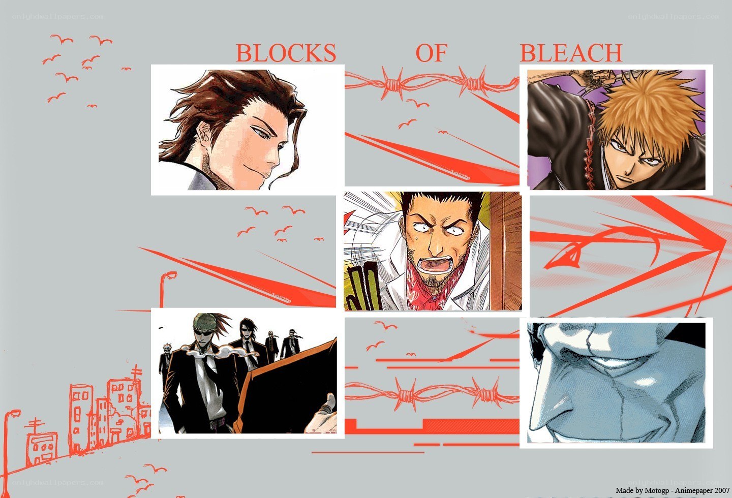 Blocks of Bleach collage