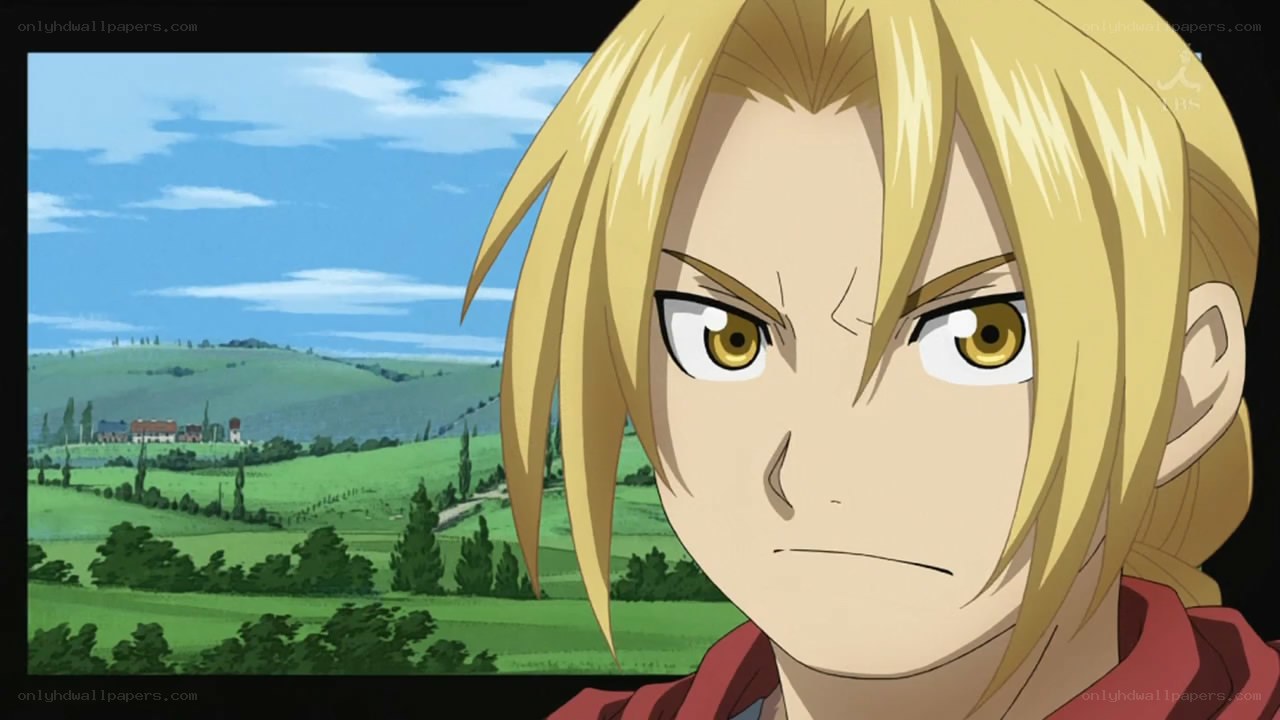 blonde anime character in a field