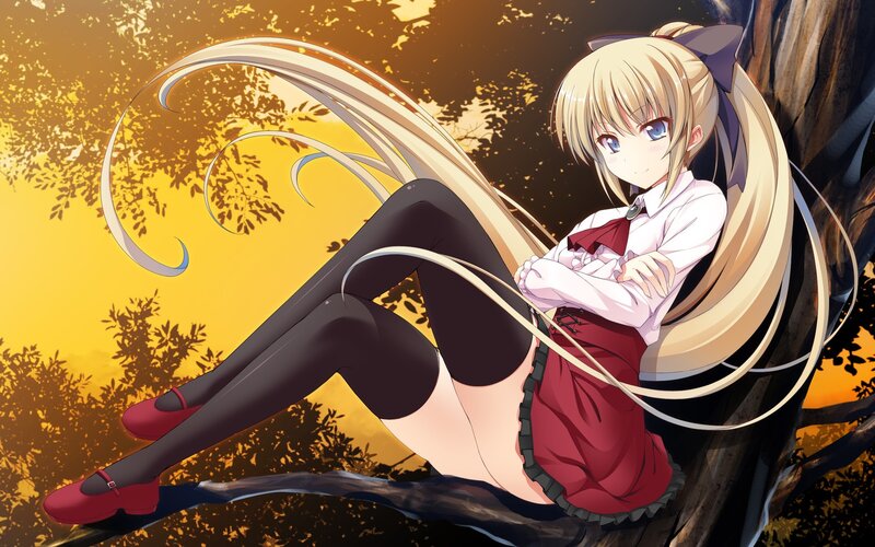 blonde anime girl in tree