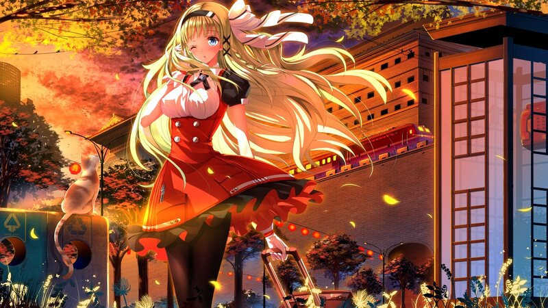 Blonde Anime Girl — Orange, Dramatic, Sunset, Cat