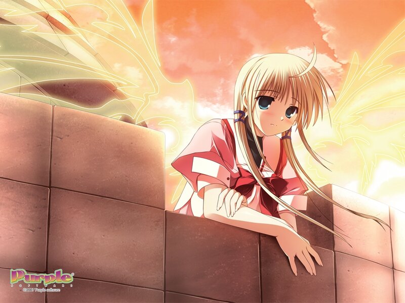 Blonde Anime Girl — Orange, Dramatic, Sunset, Wings, Wall