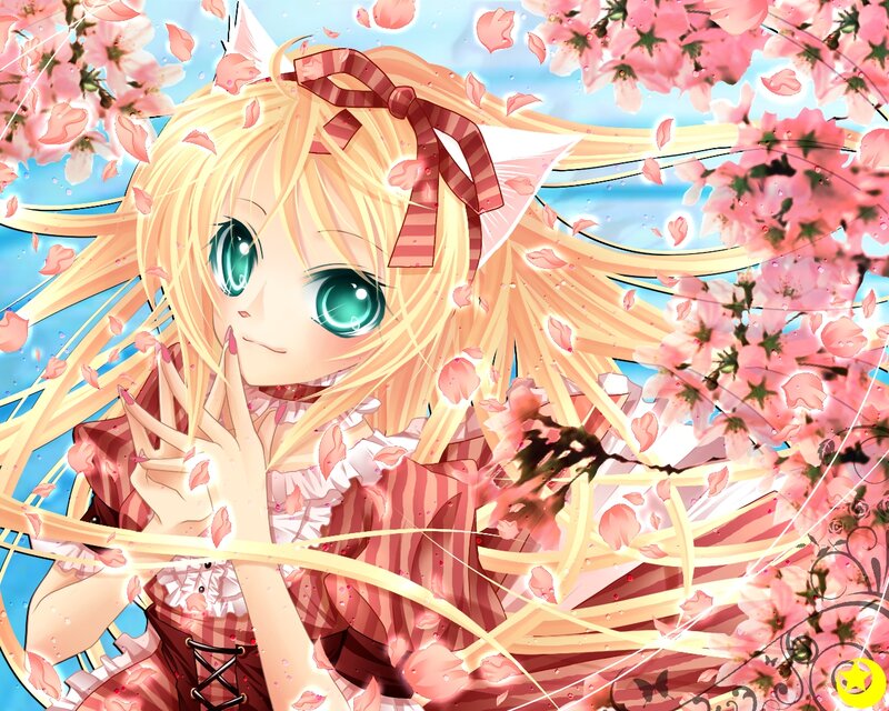 Blonde Anime Girl — Pink, Serene, Spring, Cherry Blossoms, Cat Ears