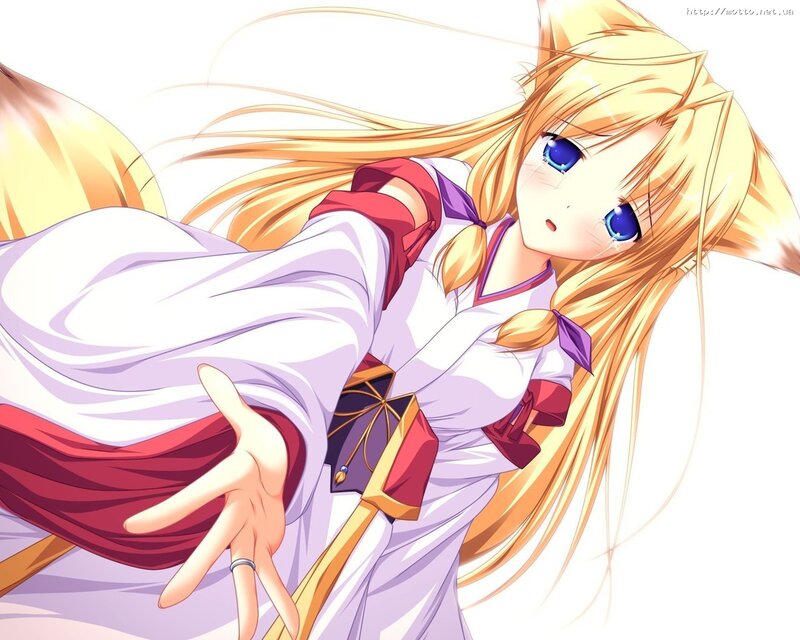 Blonde Anime Girl — White, Calm, Fox Ears, Blue Eyes