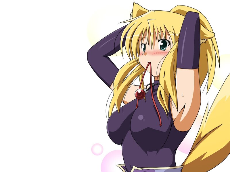 blonde anime girl with cat ears