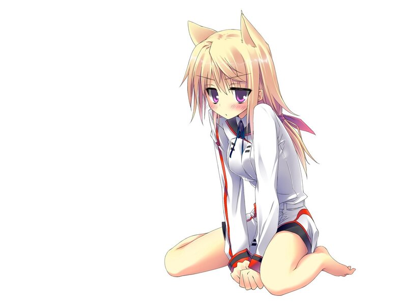 blonde anime girl with cat ears