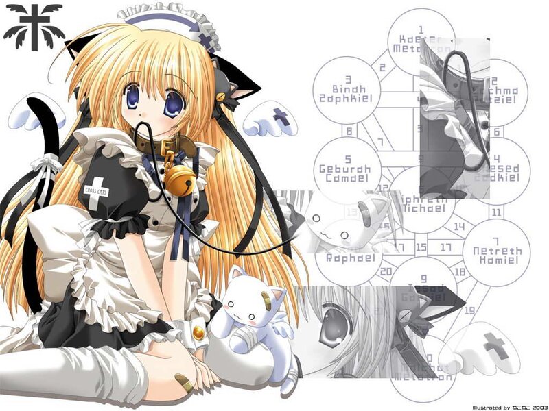 Blonde Anime Girl with Cat Ears — White