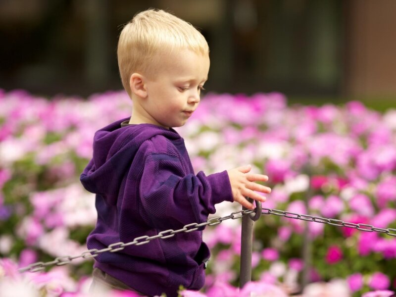Blonde Boy in Purple Hoodie