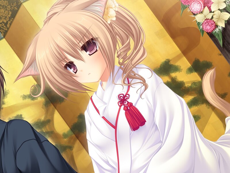 Blonde Cat-eared Girl — White, Calm