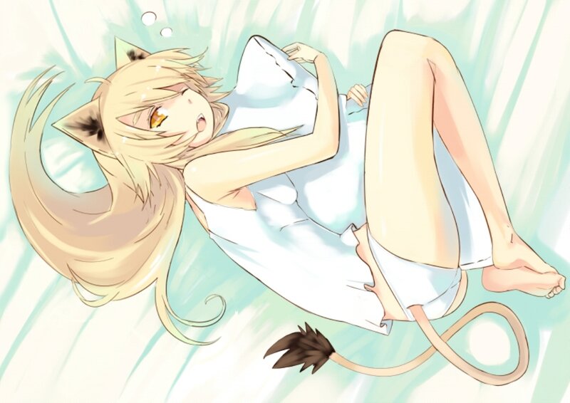 Blonde Cat-eared Girl — White, Peaceful
