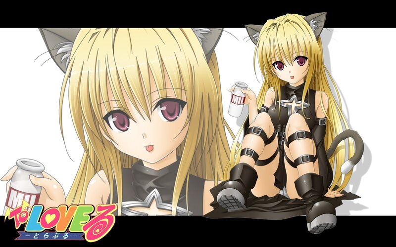 Blonde Cat-eared Girl — Yellow, Playful, Anime, Cat Ears