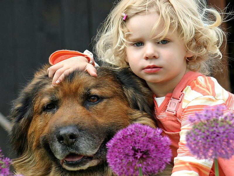 Blonde Child with Dog — Purple