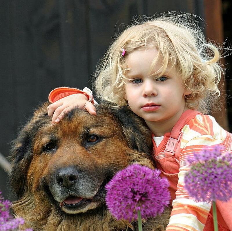 Blonde Child with Dog
