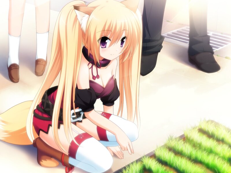 Blonde Fox-girl Character — Yellow