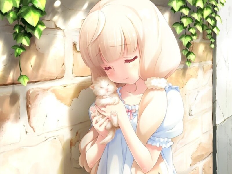 Blonde Girl Holding Kitten — White