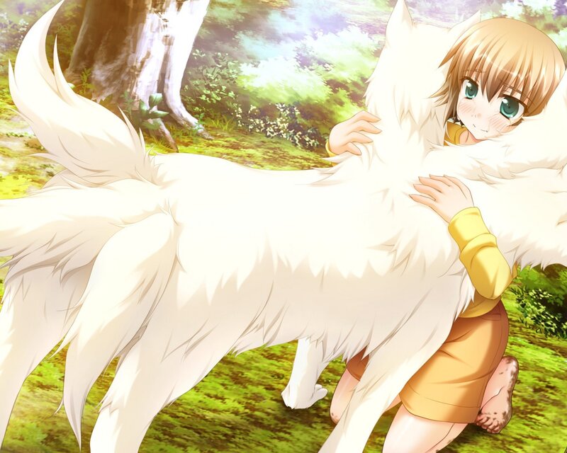 Blonde Girl Hugging White Wolf