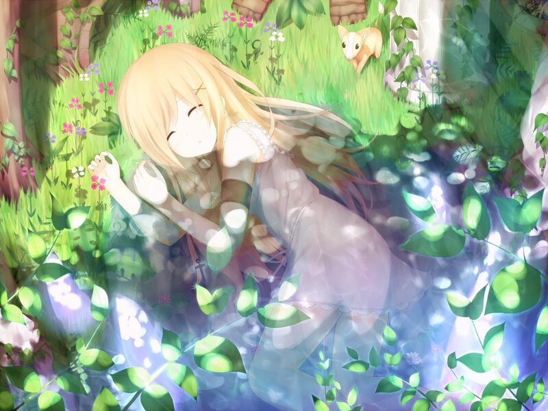 Blonde girl in a flower field