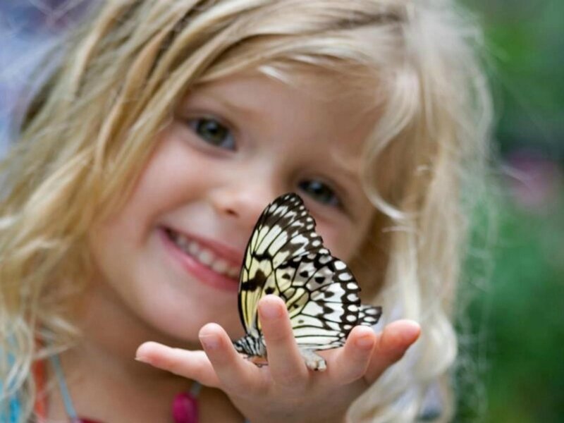 Blonde Girl with Butterfly — Happy