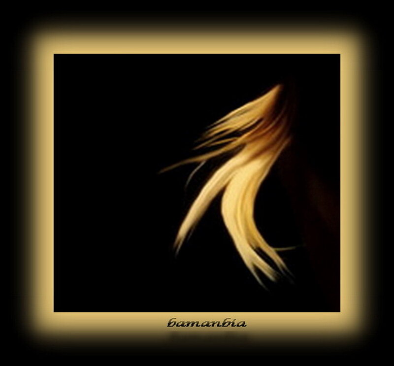 Blonde Hair in Motion