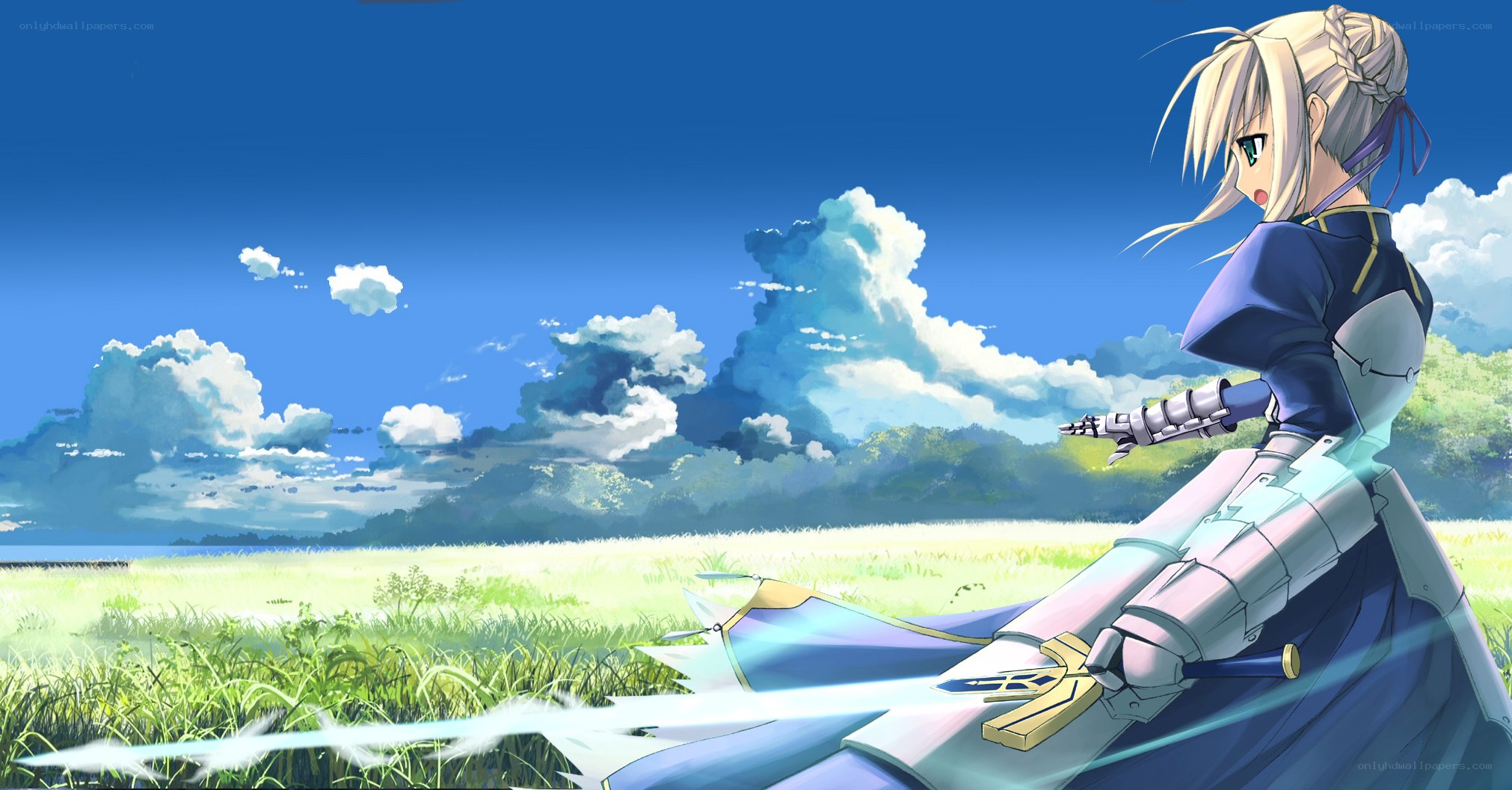 Blonde knight in a field