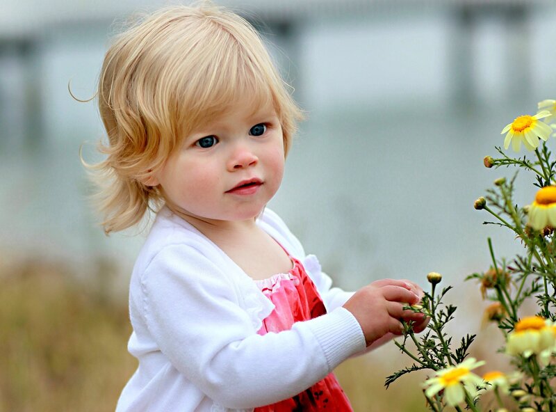 Blonde Toddler Girl — White