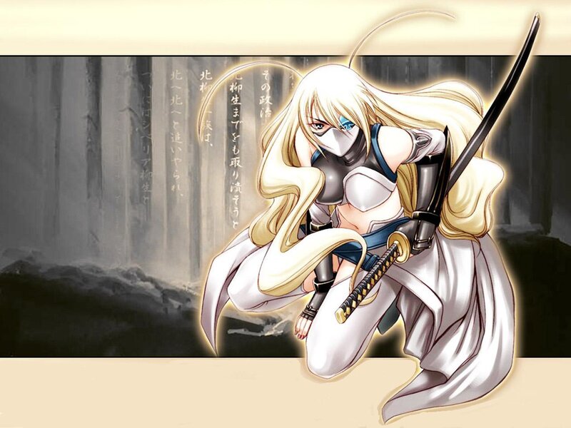 Blonde warrior with swords