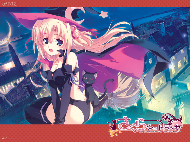 Blonde Witch with Cat