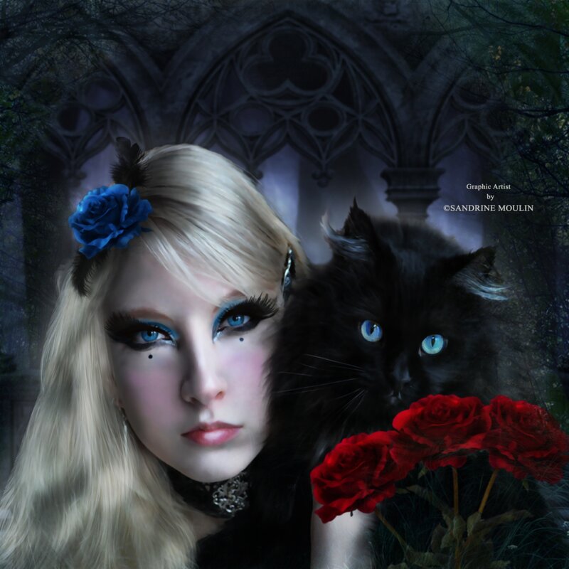 Blonde Woman with Black Cat — Dramatic, Night