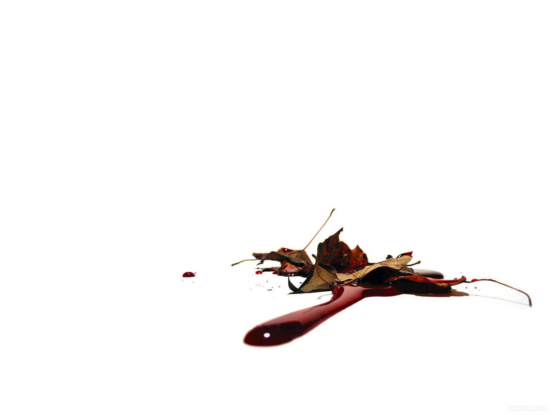 Blood and leaves on white