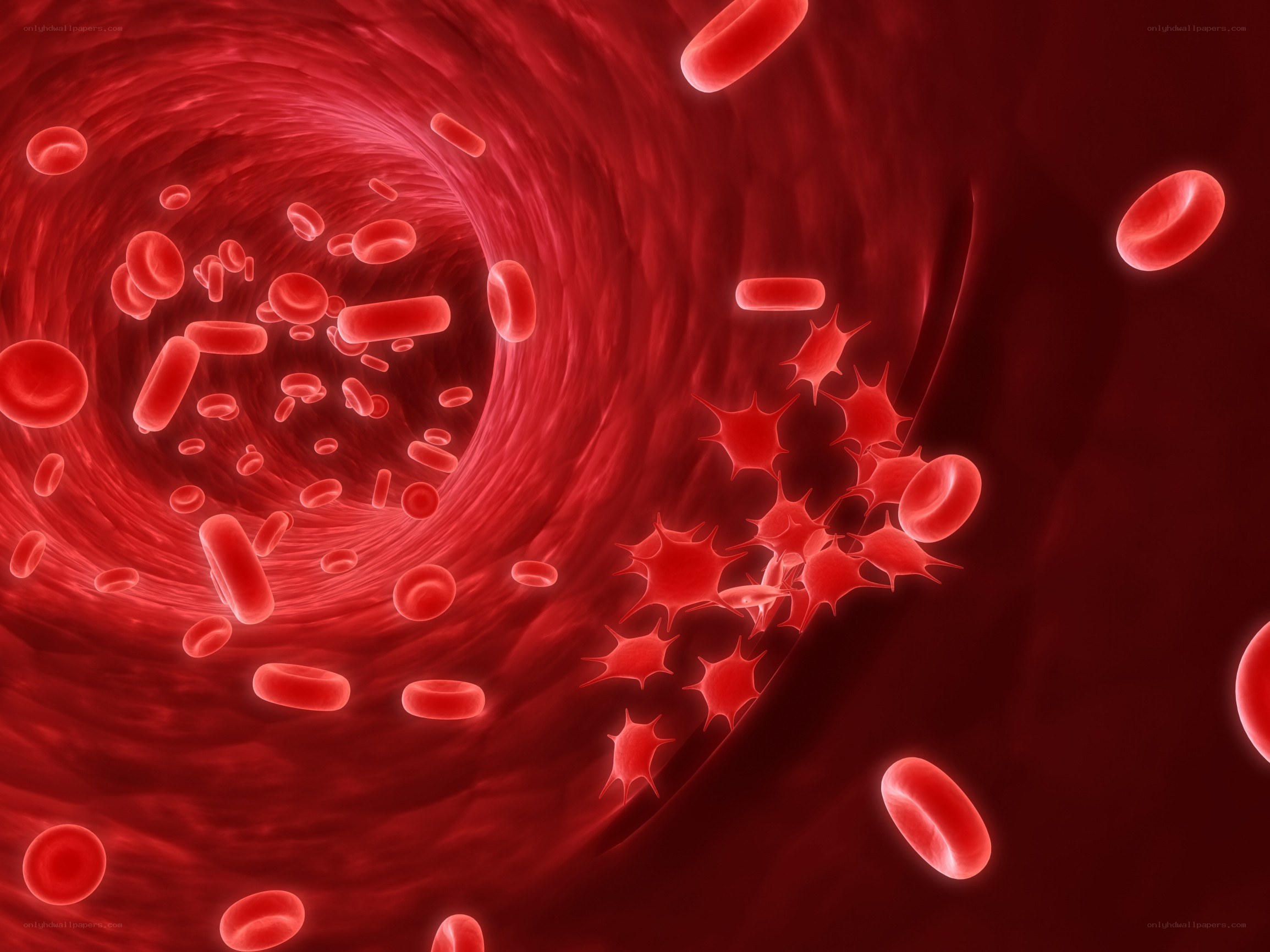 Blood cells in a vessel